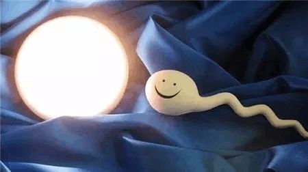 供卵代生公司试管婴儿中心