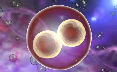 高龄二胎成功案例