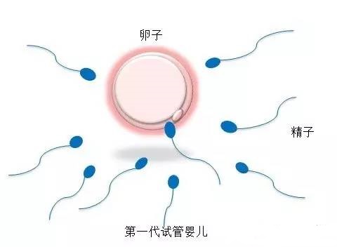 胚胎培养室